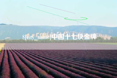 宜宾中国十七块金牌
