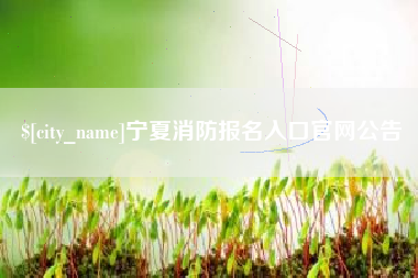 宜宾宁夏消防报名入口官网公告