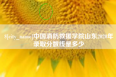 宜宾中国消防救援学院山东2020年录取分数线是多少