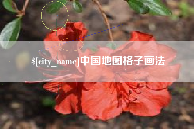 宜宾中国地图格子画法