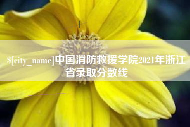 宜宾中国消防救援学院2021年浙江省录取分数线