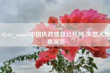宜宾中国执政信息公开网-失信人员查询页