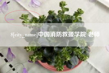 宜宾中国消防救援学院 老师