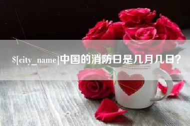 宜宾中国的消防日是几月几日？