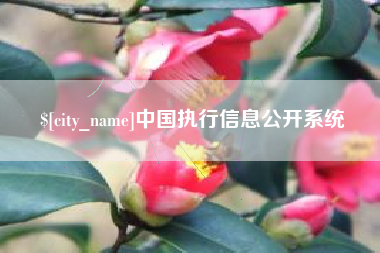宜宾中国执行信息公开系统