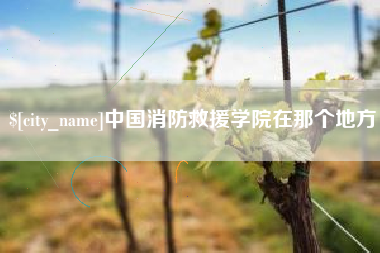 宜宾中国消防救援学院在那个地方