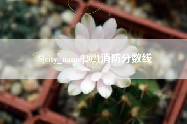 宜宾2021消防分数线