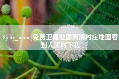 宜宾免费卫星地图高清村庄地图看到人实时下载