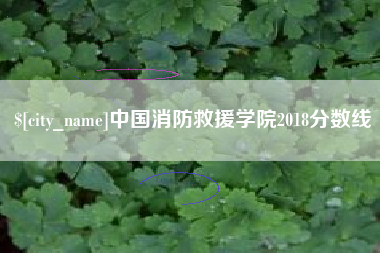 宜宾中国消防救援学院2018分数线