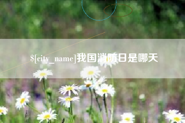 宜宾我国消防日是哪天