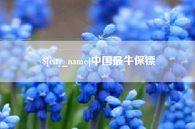宜宾中国最牛保镖