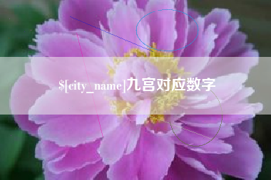 宜宾九宫对应数字