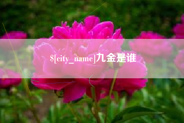 宜宾九金是谁
