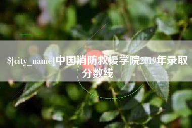 宜宾中国消防救援学院2019年录取分数线