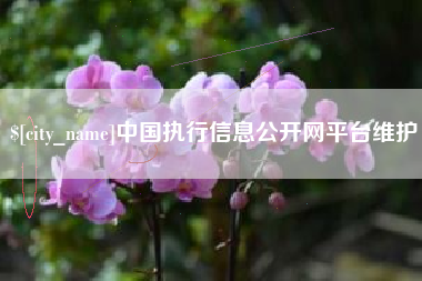 宜宾中国执行信息公开网平台维护