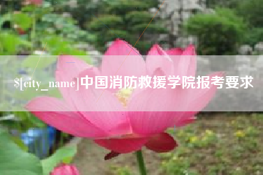 宜宾中国消防救援学院报考要求