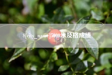 宜宾5000米及格成绩