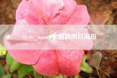宜宾全国消防日海报