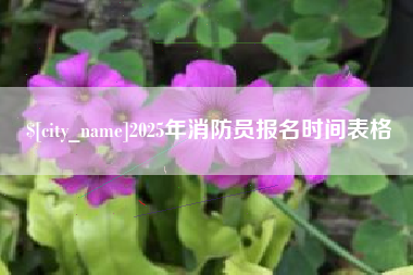 宜宾2025年消防员报名时间表格