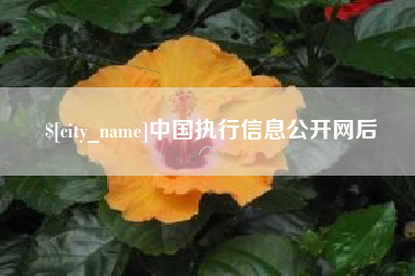 宜宾中国执行信息公开网后