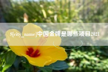 宜宾中国金牌是哪些项目2021