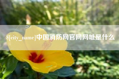 宜宾中国消防网官网网址是什么