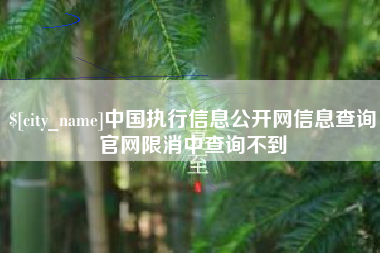 宜宾中国执行信息公开网信息查询官网限消中查询不到
