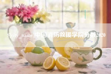 宜宾中国消防救援学院分数2020
