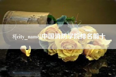 宜宾中国消防学院排名前十