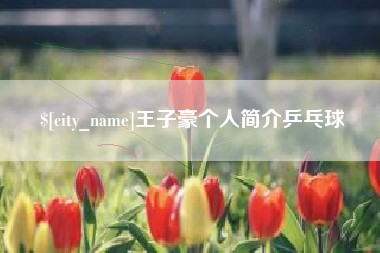 宜宾王子豪个人简介乒乓球
