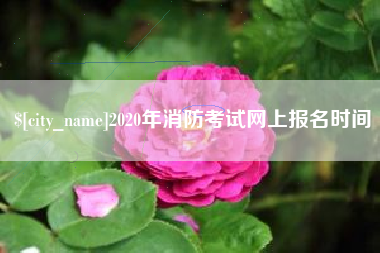 宜宾2020年消防考试网上报名时间