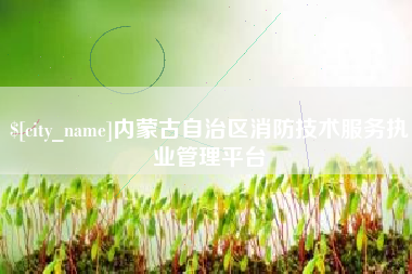 宜宾内蒙古自治区消防技术服务执业管理平台