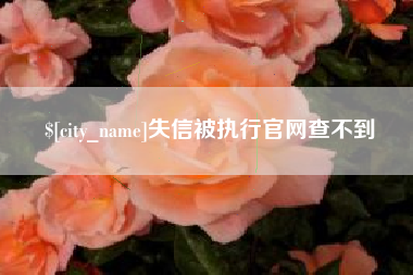 宜宾失信被执行官网查不到