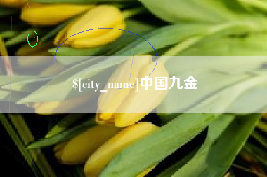 宜宾中国九金