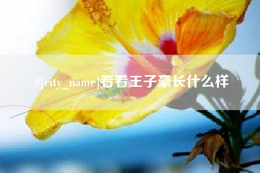 宜宾看看王子豪长什么样
