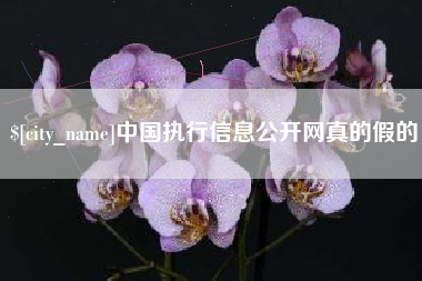 宜宾中国执行信息公开网真的假的
