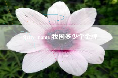 宜宾我国多少个金牌