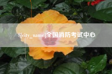 宜宾全国消防考试中心