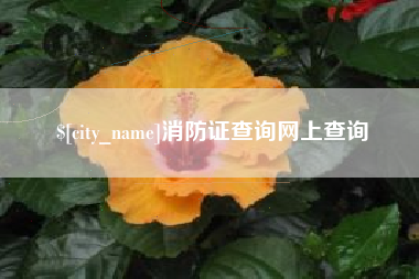 宜宾消防证查询网上查询