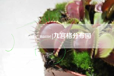 宜宾九宫格分布图