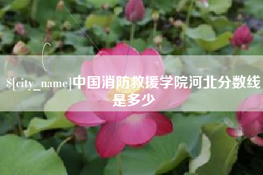 宜宾中国消防救援学院河北分数线是多少