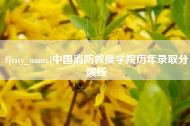 宜宾中国消防救援学院历年录取分数线