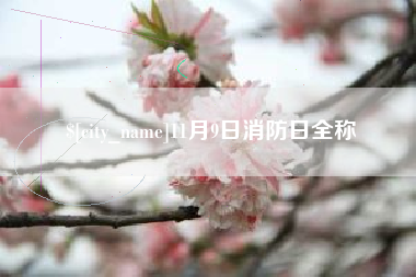 宜宾11月9日消防日全称