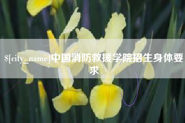 宜宾中国消防救援学院招生身体要求