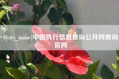 宜宾中国执行信息查询公开网查询官网