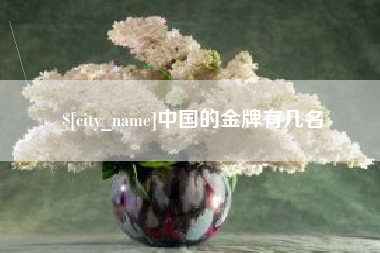 宜宾中国的金牌有几名