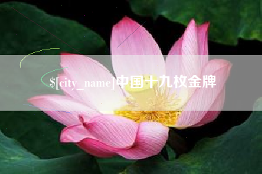 宜宾中国十九枚金牌