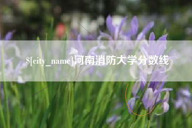 宜宾河南消防大学分数线