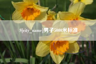 宜宾男子5000米标准