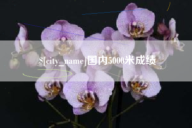 宜宾国内5000米成绩